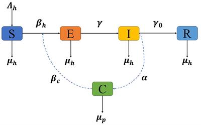 Optimal control and stability analysis of monkeypox transmission dynamics with the impact of contaminated surfaces